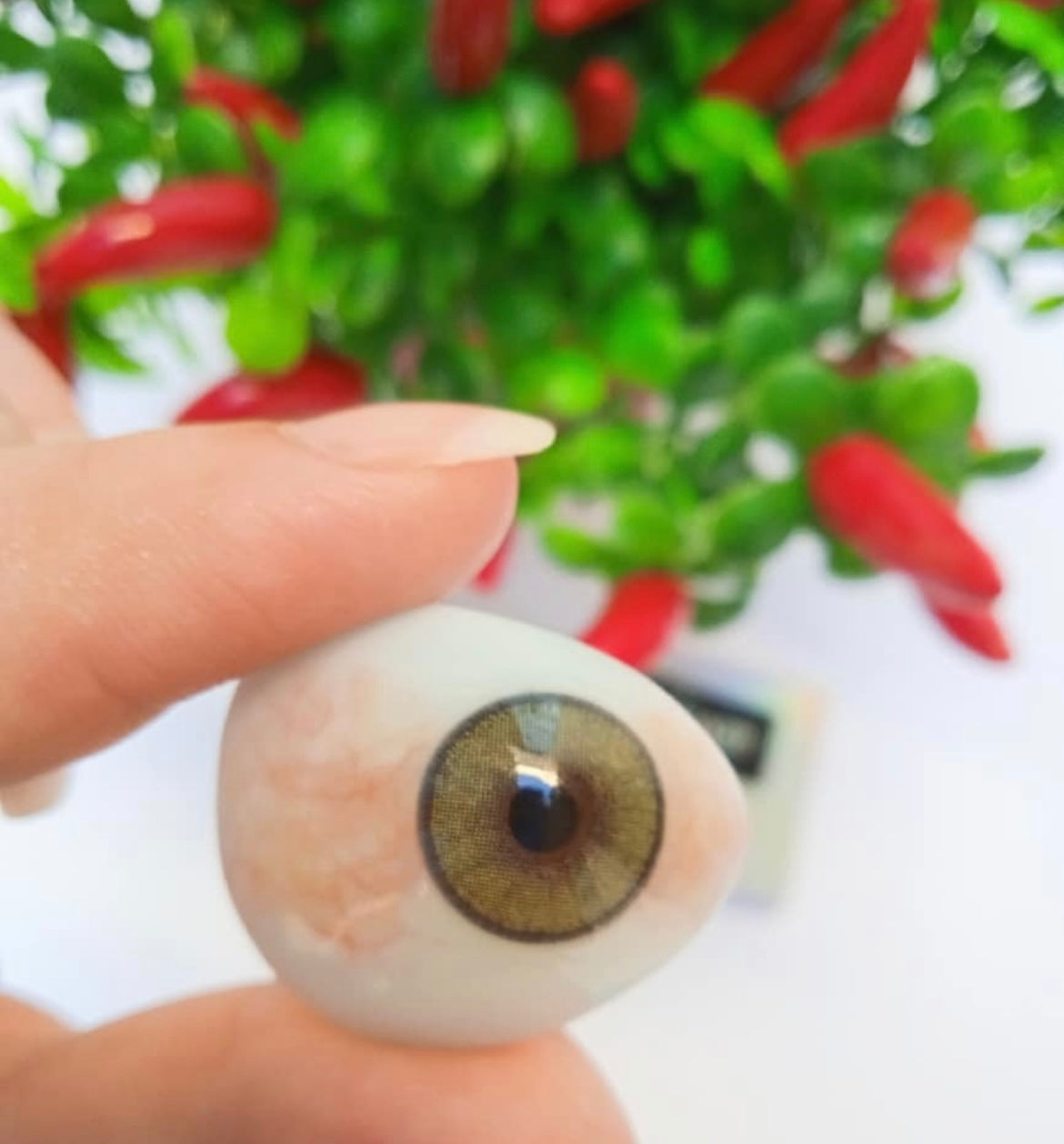 Lente de contato anual Natural Mel (caixa c/ 2 peças)