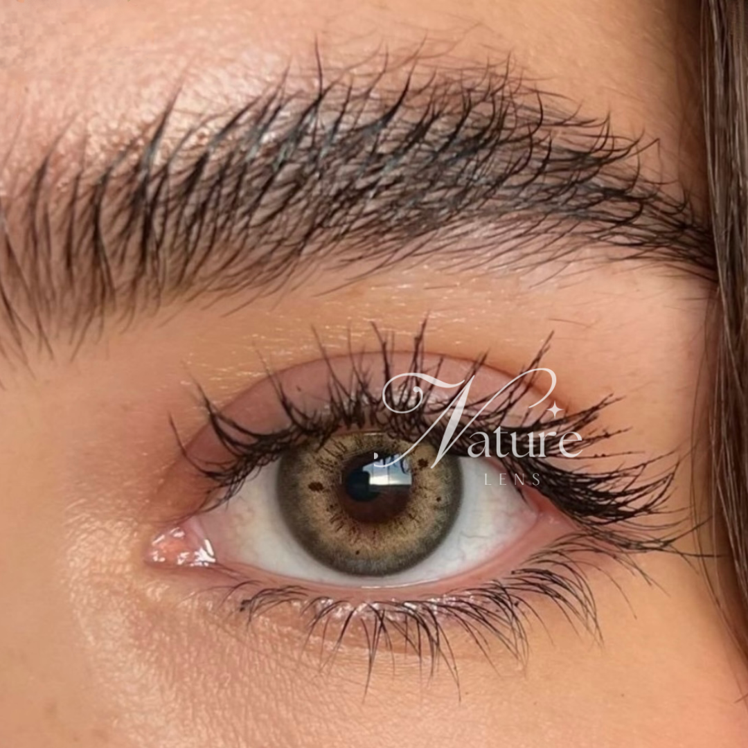 Lente de contato anual ND Brown (caixa c/ 2 peças)