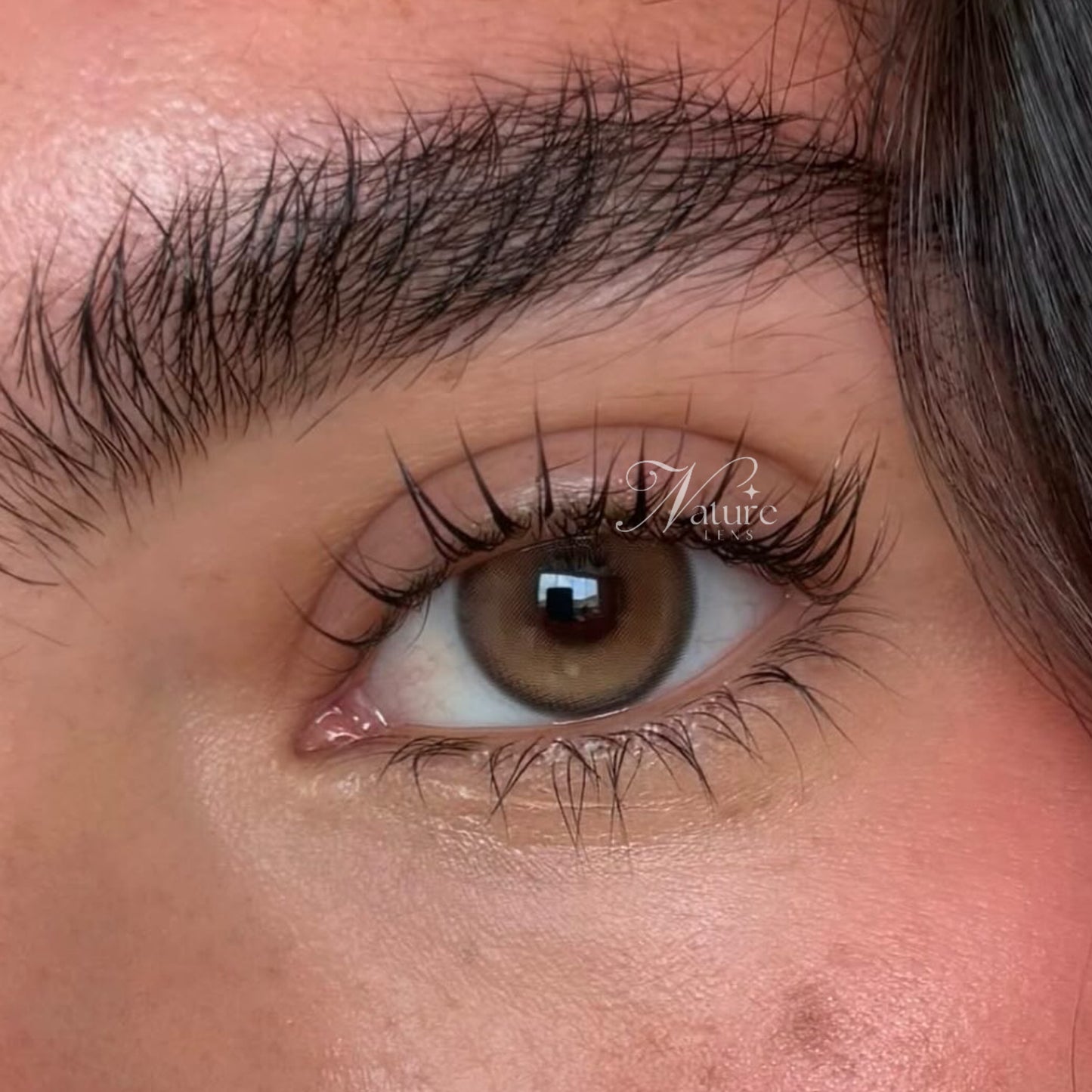 Lente de contato anual Jolie Brown (caixa c\ 2 peças)
