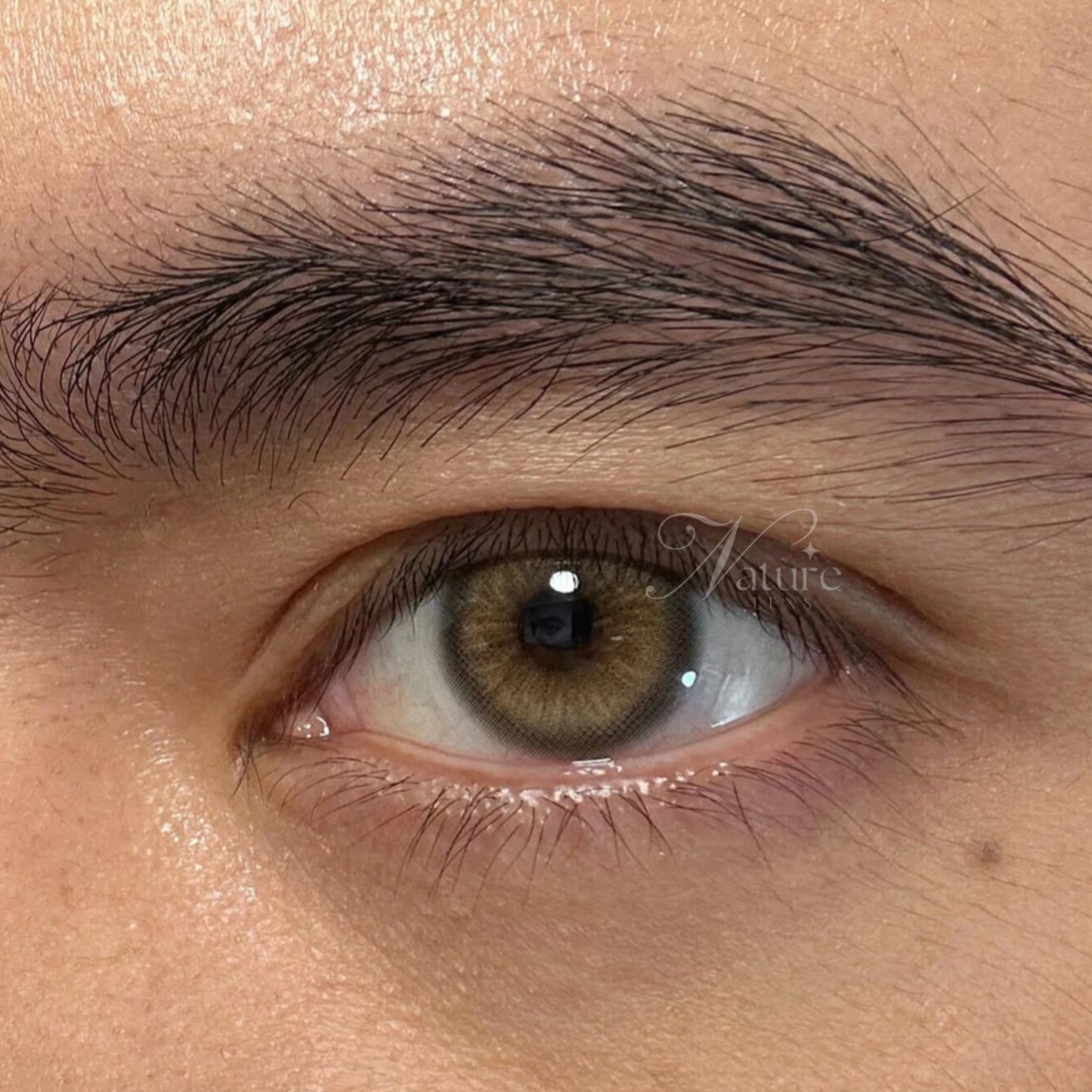 Lente de contato anual Flare Brown (caixa c/ 2 peças)