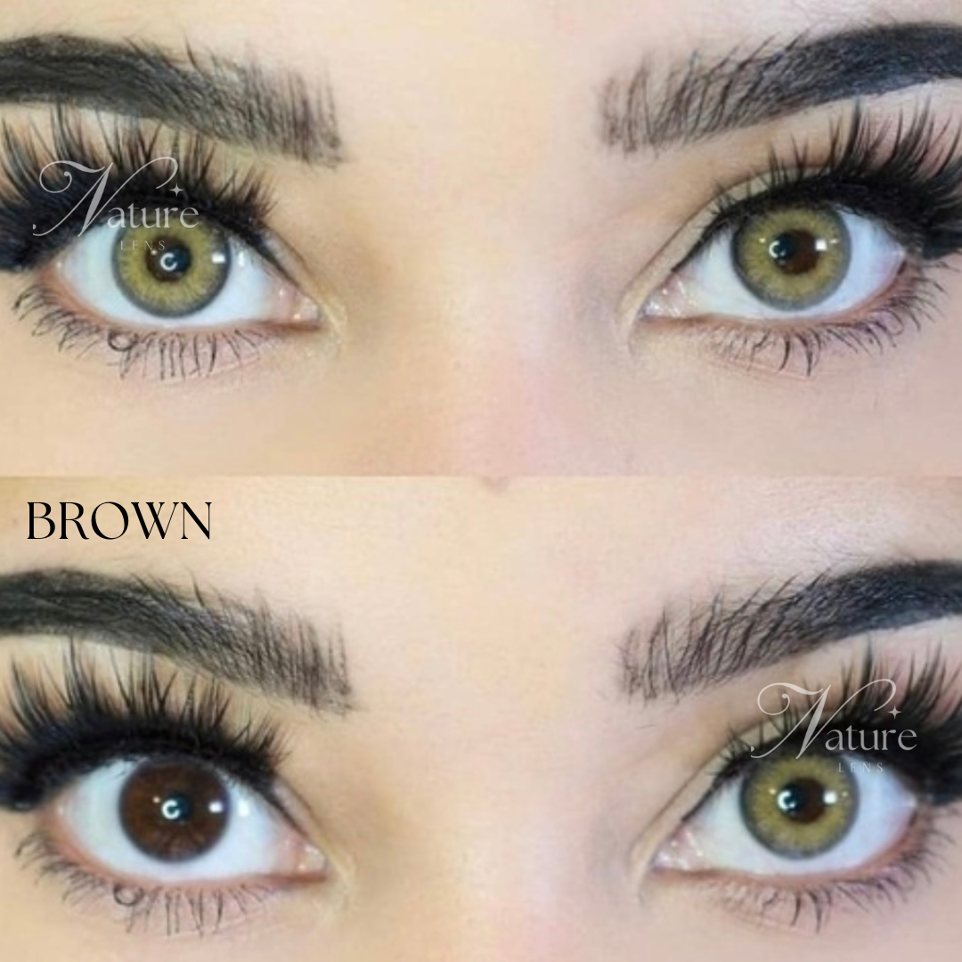 Lente de contato anual Himalaya Brown (caixa c/ 2 peças)